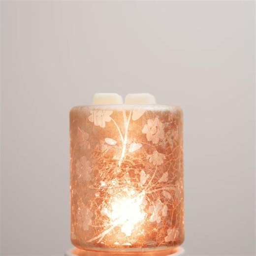 360Video SilverStemRAInspire97b5a492e08145b99e047268315ac6fd