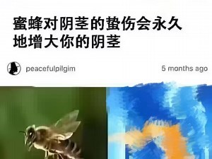 哎，有个新奇的想法。_哔哩哔哩_bilibili