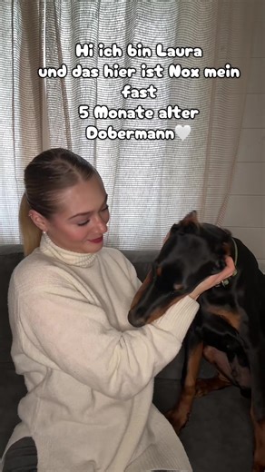 Alltag mit unserem Dobermann Welpen Nox