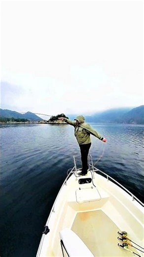 Casting a full SA competition 5wt 120ft line 😊 #short