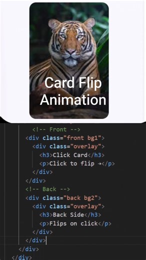Easy js Interactive cards 🖼️ #cardflipanimation #htmlcssjavascript #cssanimation #javascriptcards