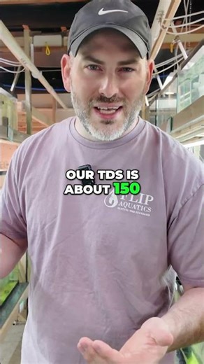 TDS in Your Aquarium