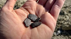 Utah’s 100-million-year-old dinosaur fossil reveals 6 eggshell types