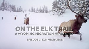 55K views · 121 reactions | Here is the next installment of ON THE...