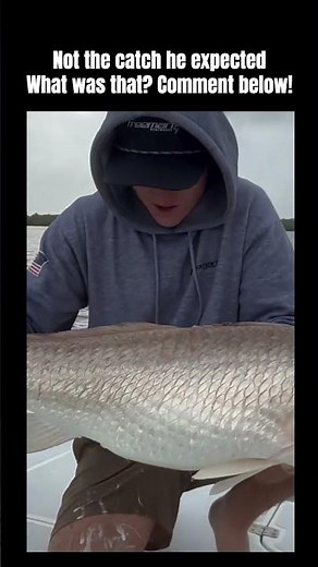 What Was That?! 😳🐟 | Unexpected Fish Moment #funny #shorts