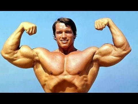 Arnold Schwarzenegger Dokumentation