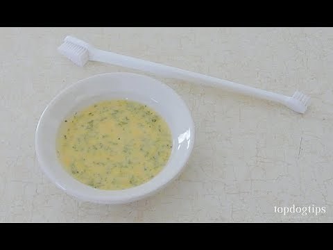 How to Make Dog Toothpaste - Easy Natural DIY Dog Toothpaste Guide