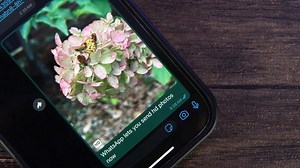 Comment envoyer des photos en HD et en qualité maximale via WhatsApp