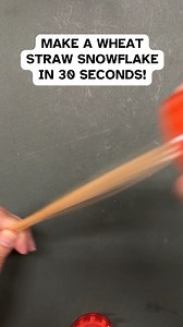 7.6K views · 88 reactions |  Join us online for Ornamental Wheat...