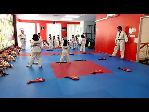 Taekwondo Training For Kids
