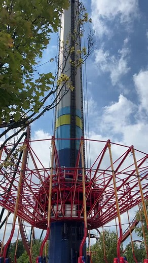 Amusement Insiders on TikTok