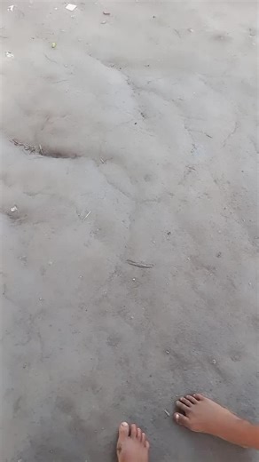 shrek não está bem #humor #tiktok #trend #viralizar