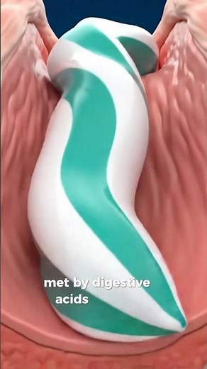 What Happens If You Swallow Toothpaste?👙🤮