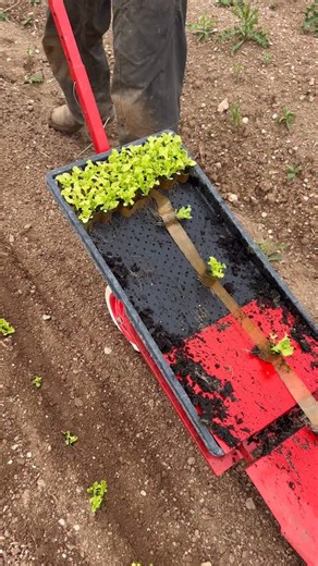 34K views · 979 reactions | The Paperpot Transplanter completely...