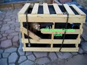 Monster Box : With single motor, double action Halloween prop