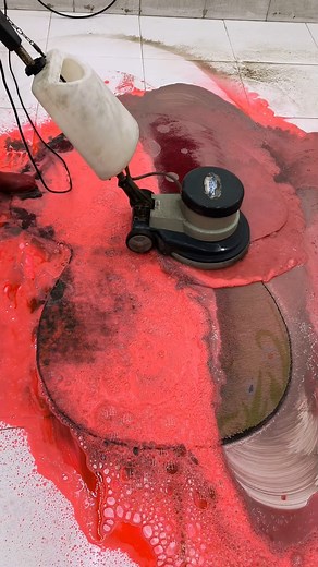 1.3M views · 3.6K reactions | Fresh mushroom freshly picked from the ground #fblifestyle #asmr #washing | Change Cleaning | Facebook