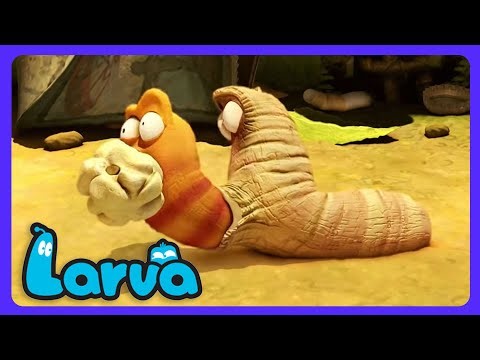 Larva - Le Popcorn de l'Extrême ! | Dessins Animés | WildBrain Enfants