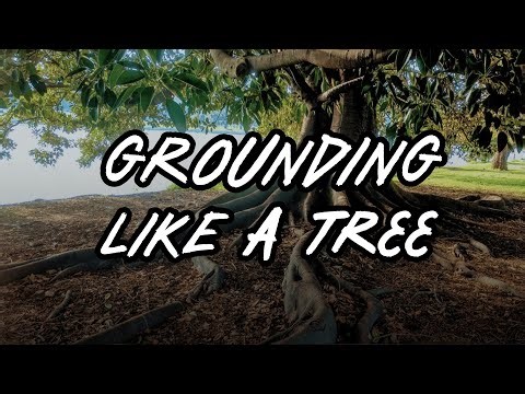 Grounding Like a Tree: Mindfulness Practice