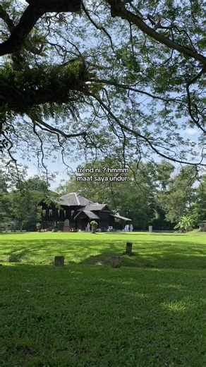 Understanding the Latest Video Trends