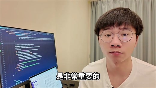 大厂程序员高效工作秘籍-专业DP软件