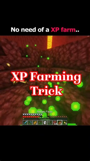 Just try it XP farming #shoetfeed #minecraft #minecraftbutshoes #memes #funny #gaming