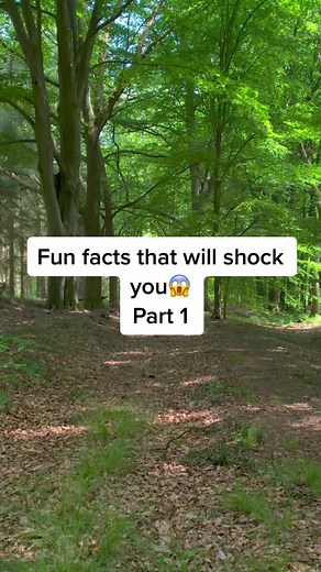 Mind-Blowing Fun Facts That Will Amaze You