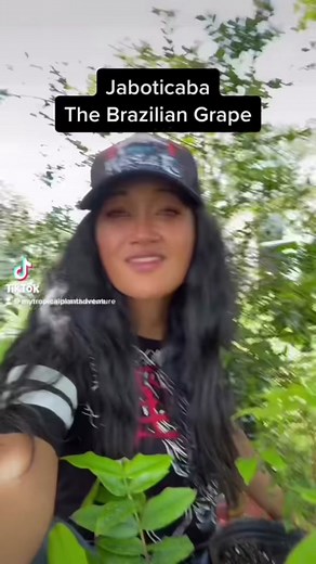 Jaboticaba: The Amazing Brazilian Grape Tree