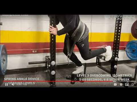 Spring Ankle Torque Loading Levels Video