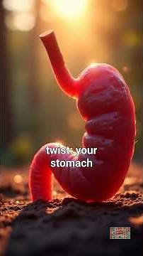 Why Does Stomach Make Sound like Growling? Here is What Science Says !