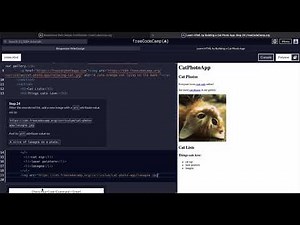 FreeCodeCamp - Responsive Web Design - Step 24 of 71 - Learn HTML by Building a Cat Photo App