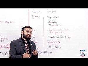 Class 9 - Biology - Chapter 8 - Lecture 02 Macro Nutrients role - Allied Schools