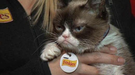 Grumpy Cat has died at age 7