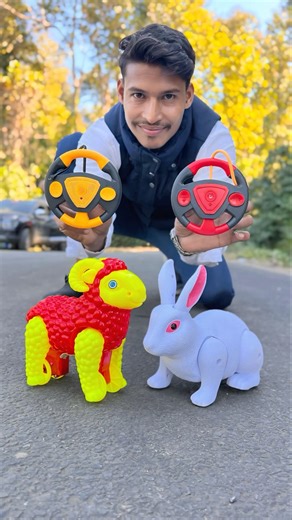 Rc Remote Wala Sheep vs Rabbit Ki Unboxing 🥹