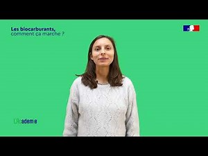 Les biocarburants, comment ça marche ? 3 minutes Top chrono pour la transition !