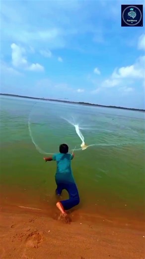 Why do ships use special propellers to cut ropes underwater? 🌊#ShipTechnology#MarineEngineering