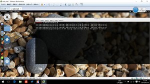 4.web漏洞扫描之whatweb的使用