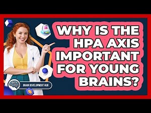 Why Is The HPA Axis Important For Young Brains?