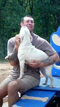 Cass is the perfect deaf princess looking for a great home 🩷