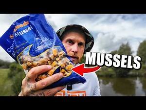 This is 'THE BEST' Bait I've ever used!