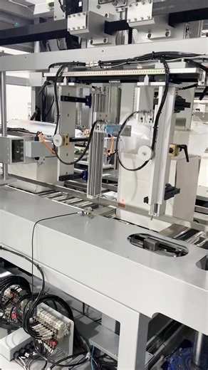 Carton inner bag sealing machine for nuts#packagingmachine #automation #machine #baggingmachine #machine