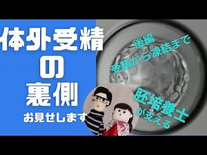 「体外受精(IVF) 採卵～受精（後編）」『POSITIVE 妊活！』シリーズ IVFなんばクリニック