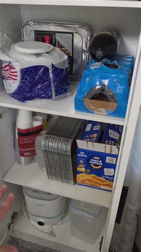 Stylish cabinet for a pantry!