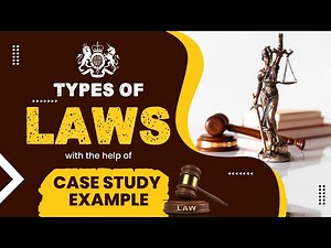 Types of LAWS - Criminal and Civil Law | Case Study Example