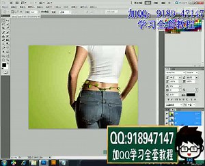 adobe illustrator cs4教程下载
