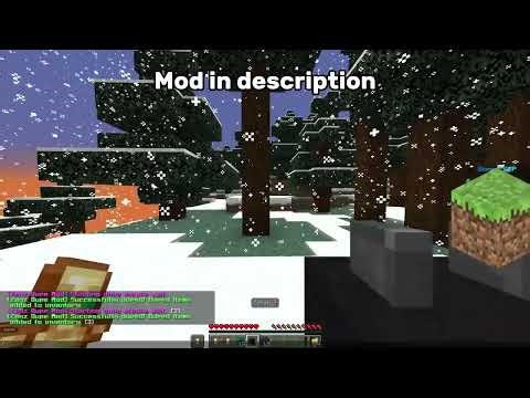 NEW DonutSMP Dupe Method