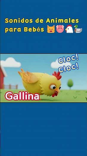 Sonidos de Animales 🐱🐷🐔🦆 | Gato Cerdo Gallina Pato