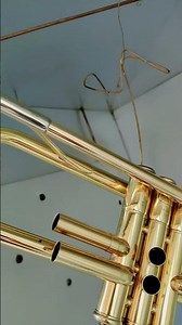 Lacquering Yamaha Japan YTR-2320 trumpet, cured at 150 degrees.