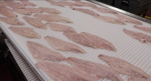 U.S. Farm-Raised Catfish Producer - Heartland Catfish Company