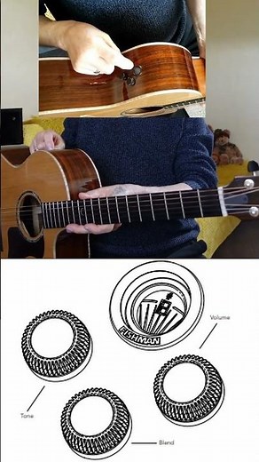 Fishman FLEX BLEND Controls