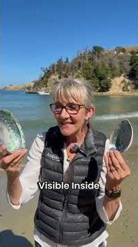 This shell looks unreal 🌊